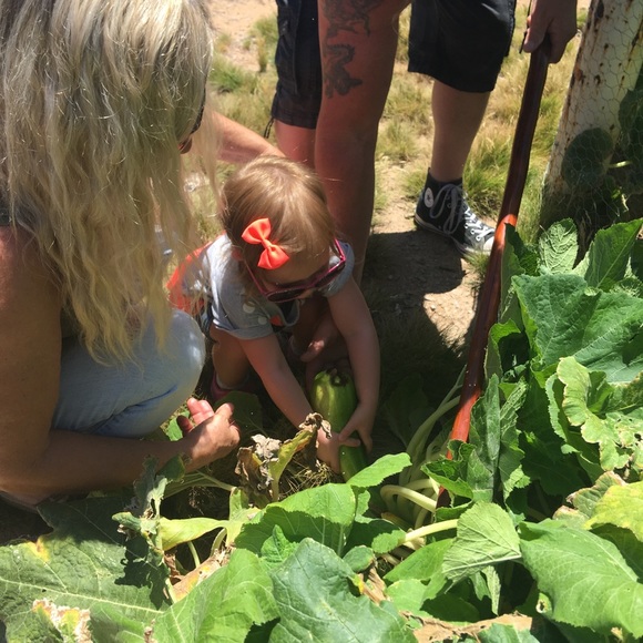 HI I’m Lee 😘POSH AMBASSADOR Top rated seller! - Picture 3 of 14